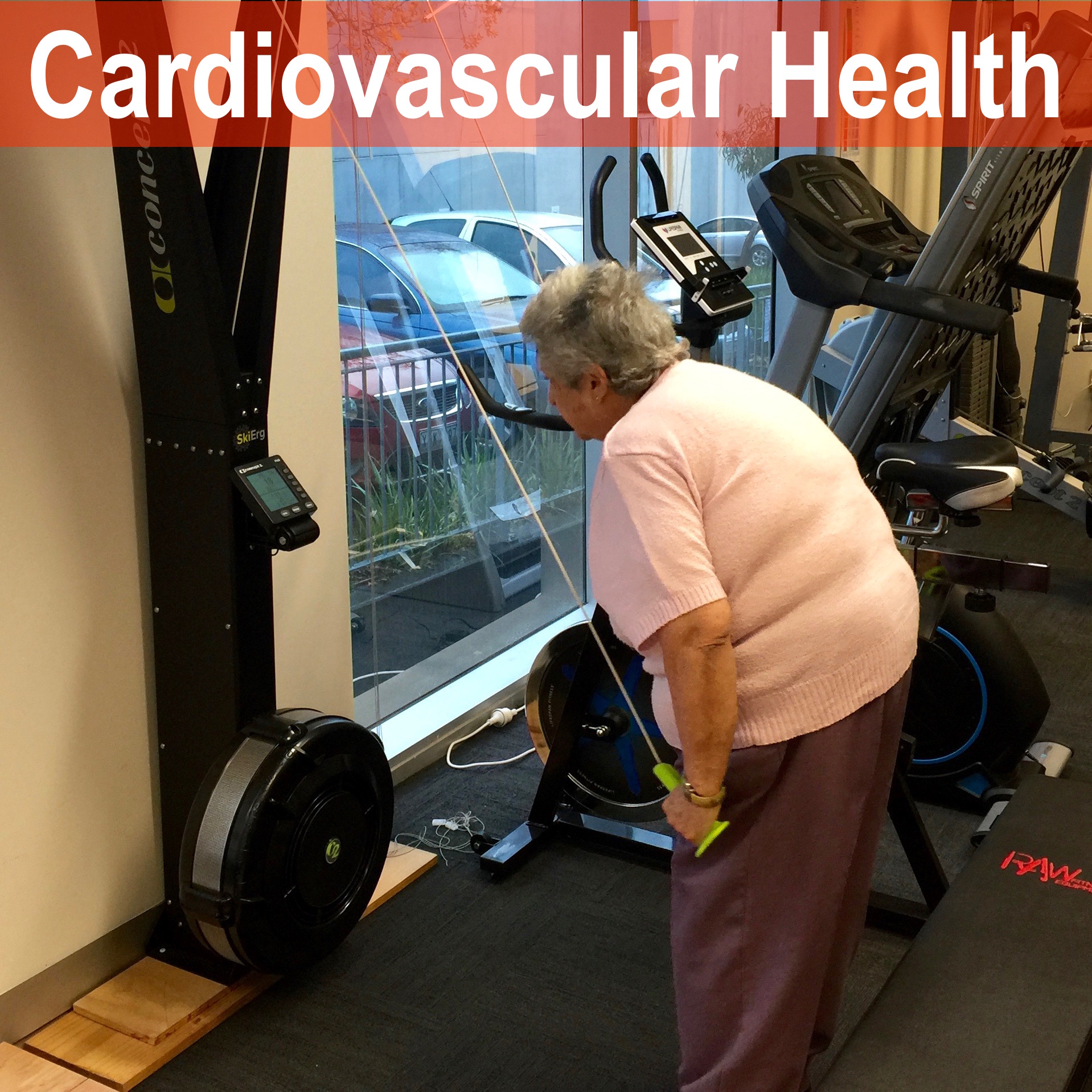 Cardiovascular Health