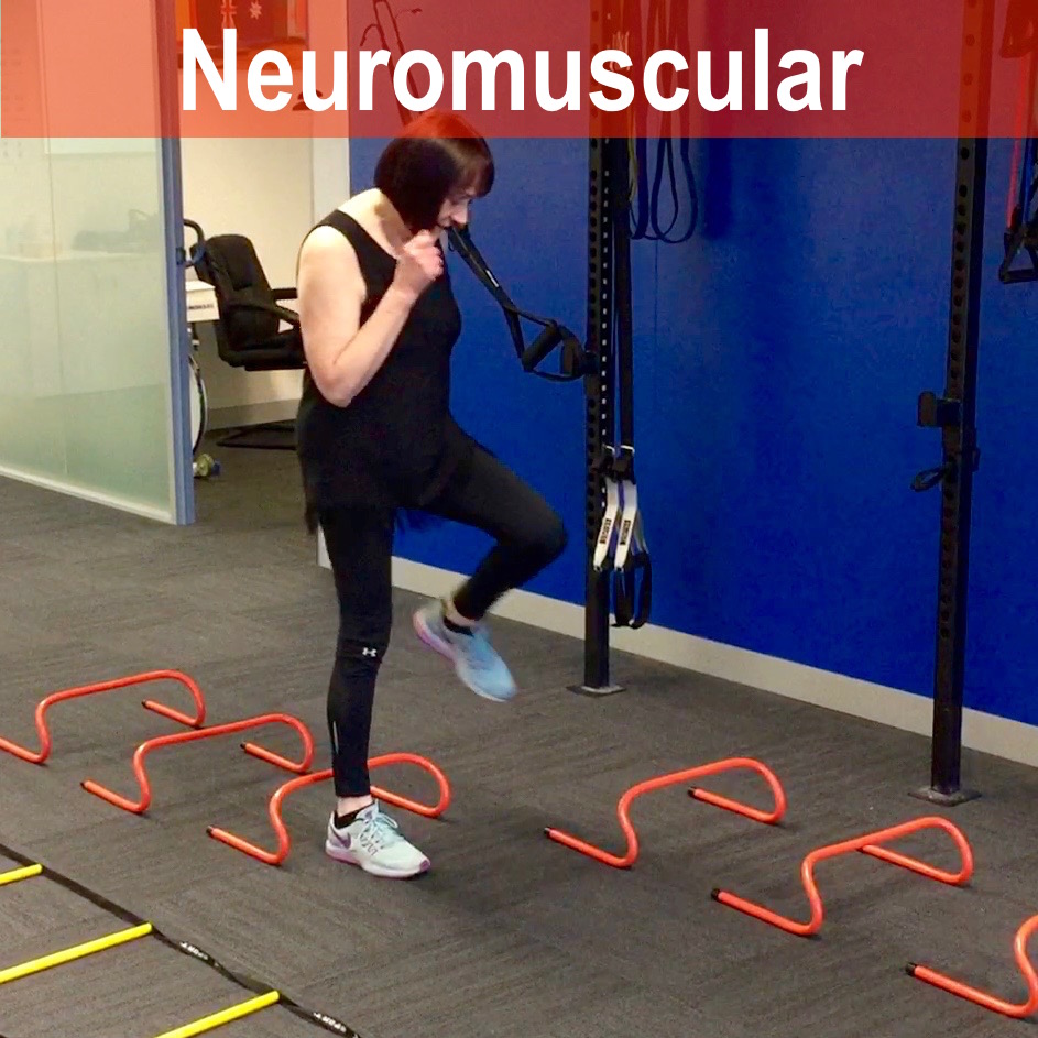 Neuromuscular